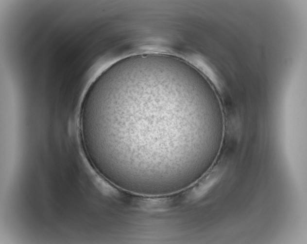 X0000115541381200911131535