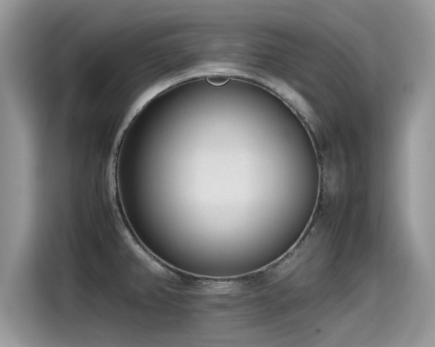 X0000115541382200911131535