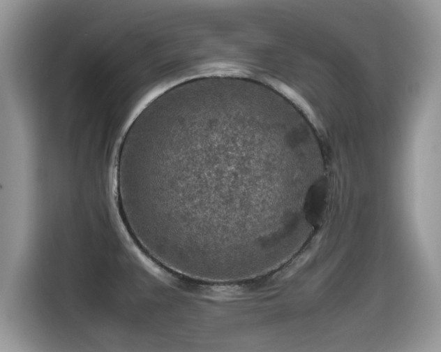 X0000115541383200911131535