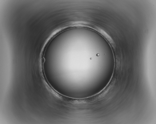 X0000115541384200911131535