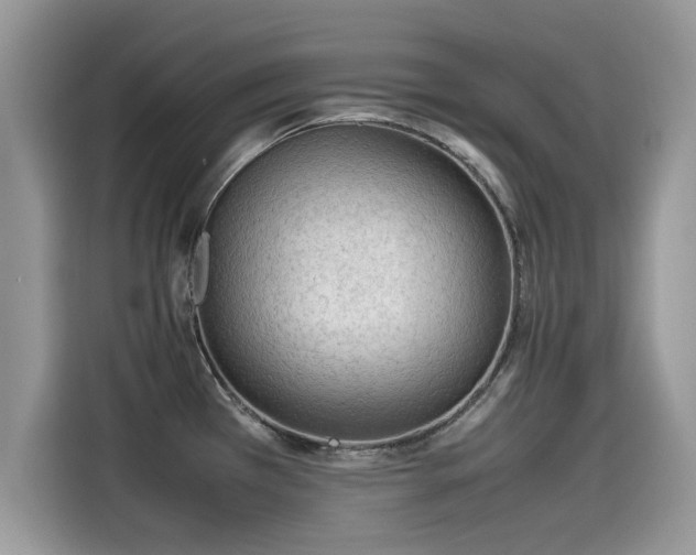 X0000115541385200911131535