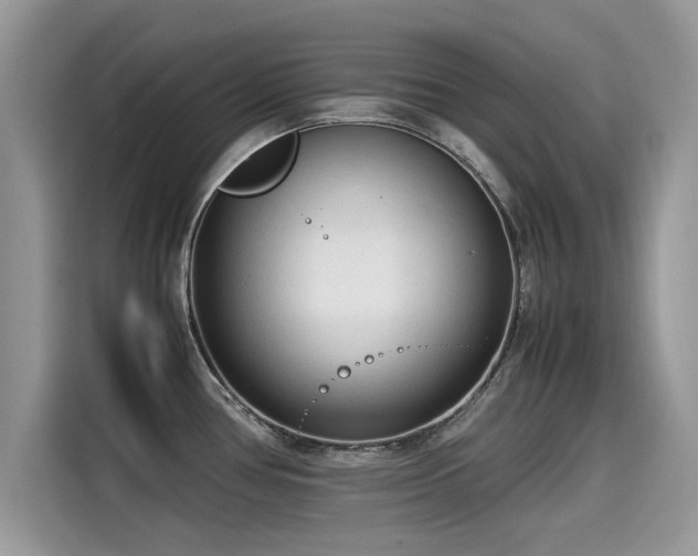 X0000115541386200911131535