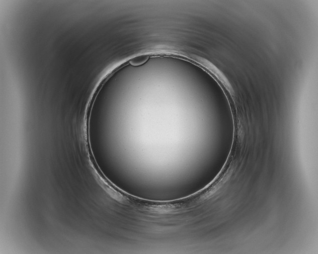 X0000115541388200911131535