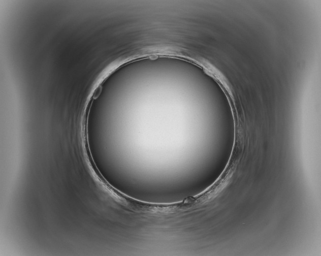 X0000115541389200911131535