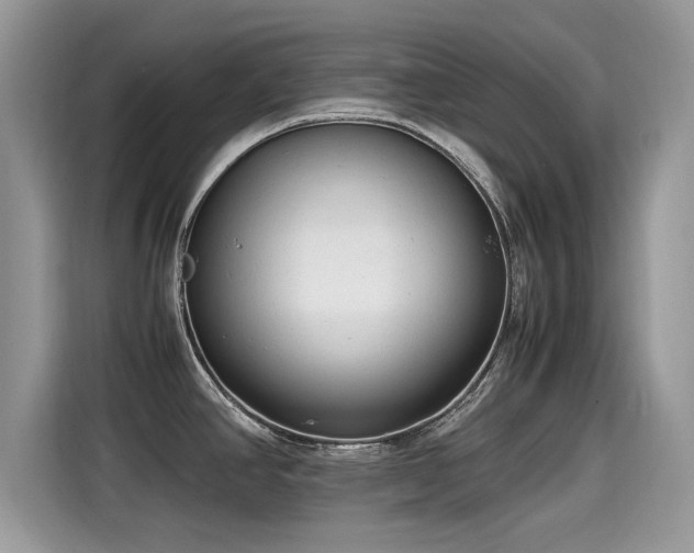 X0000115541390200911131535