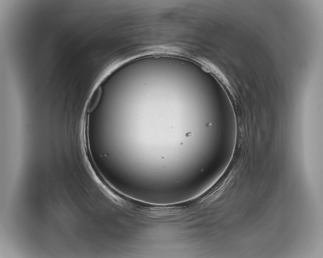 X0000115541391200911131535