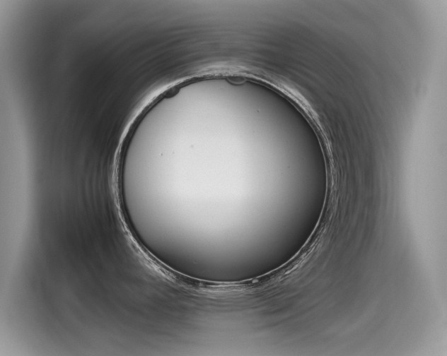 X0000115541392200911131535