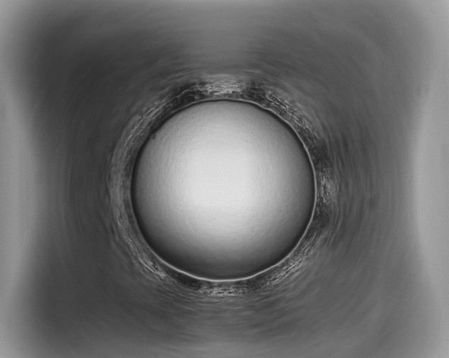 X0000115541393200911131535