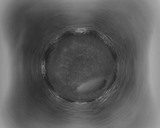 X0000115541394200911131535