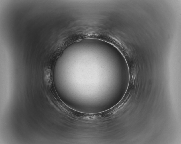 X0000115541396200911131535