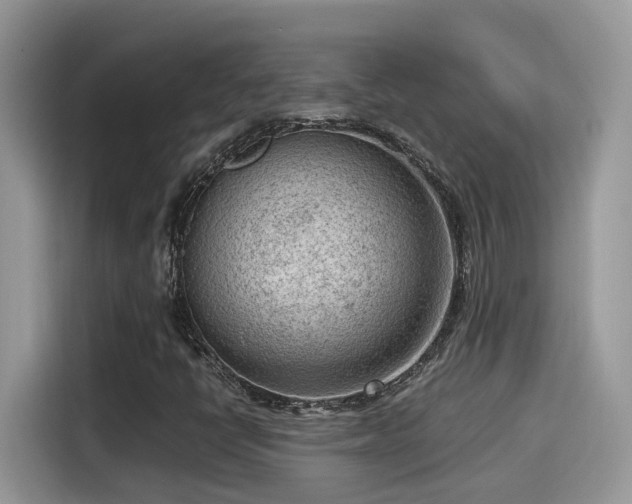 X0000115541398200911131535