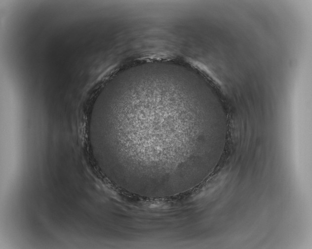 X0000115541399200911131535