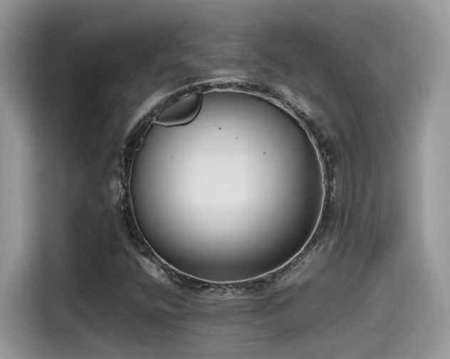 X0000115541400200911131535