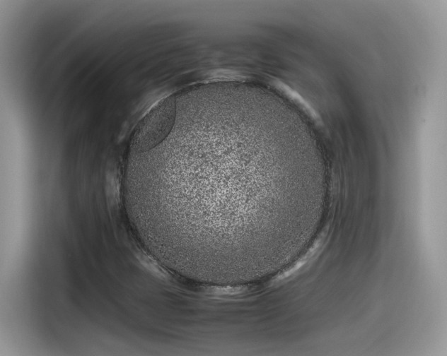 X0000115541401200911131535