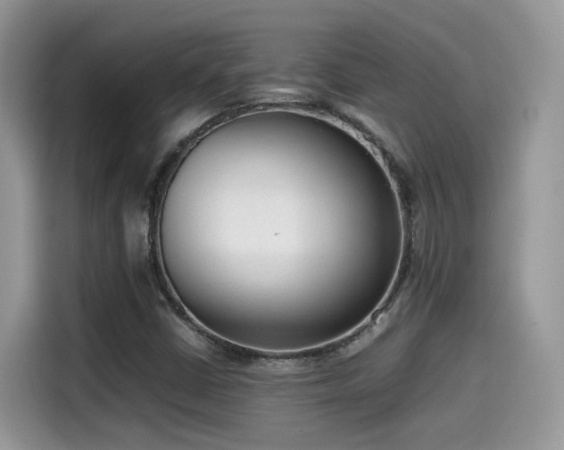 X0000115541402200911131535