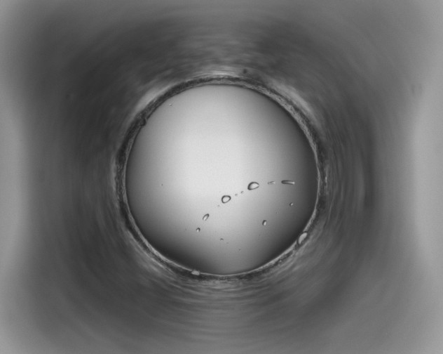 X0000115541404200911131535