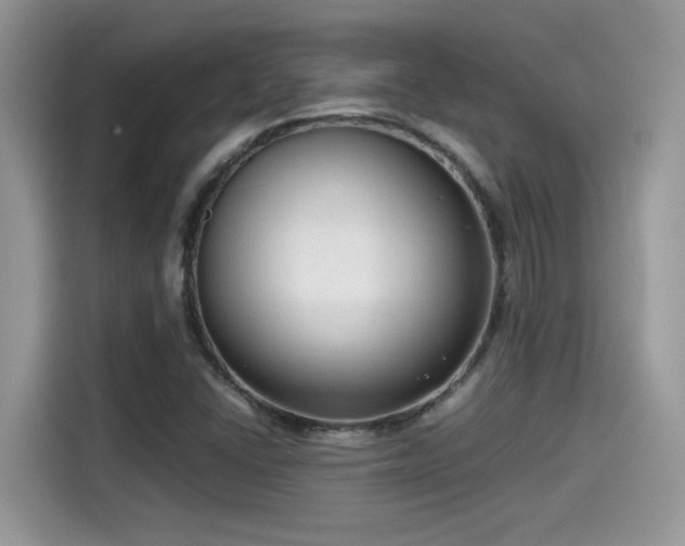 X0000115541406200911131535