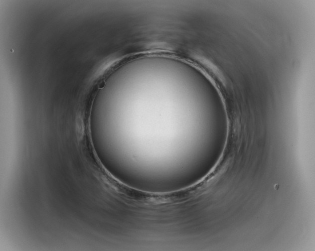 X0000115541407200911131535