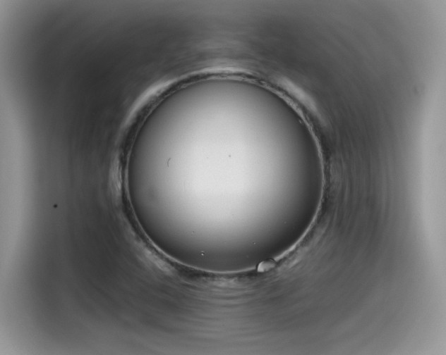 X0000115541408200911131535