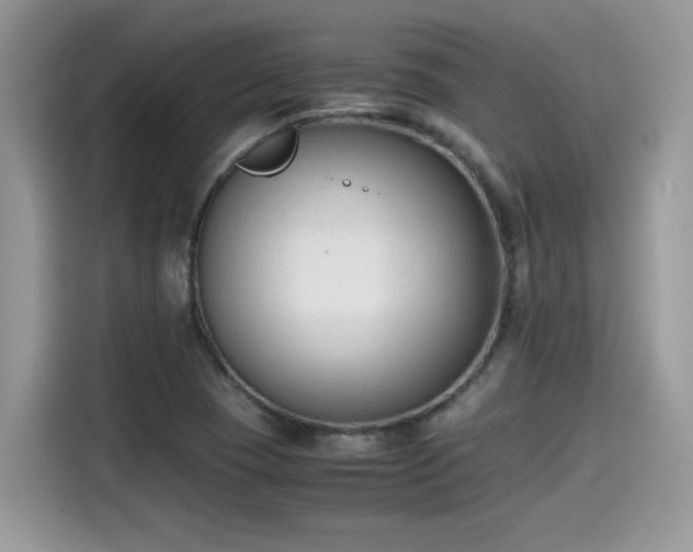 X0000115541409200911131535