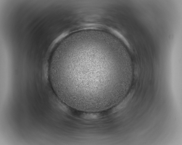 X0000115541411200911131535