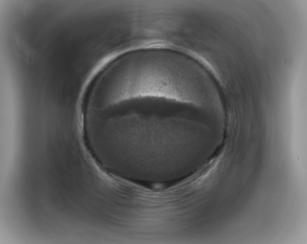 X0000115541414200911131535