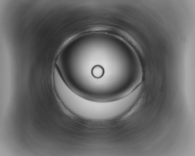 X0000115541417200911131535