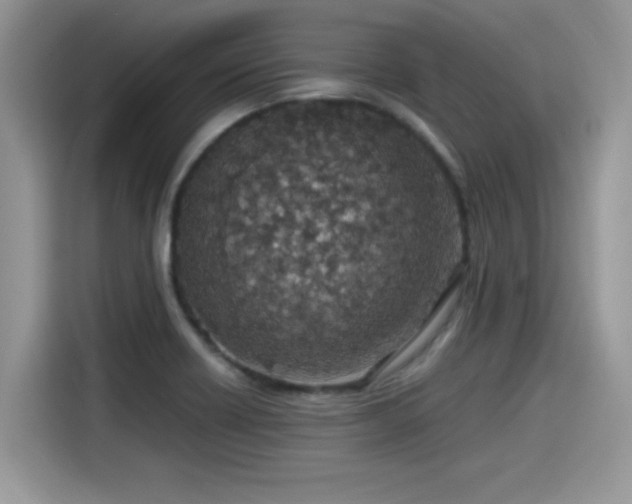 X0000115541418200911131535