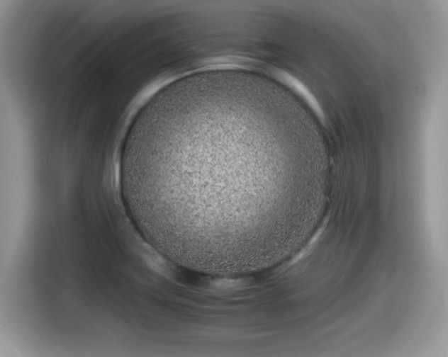 X0000115541419200911131535