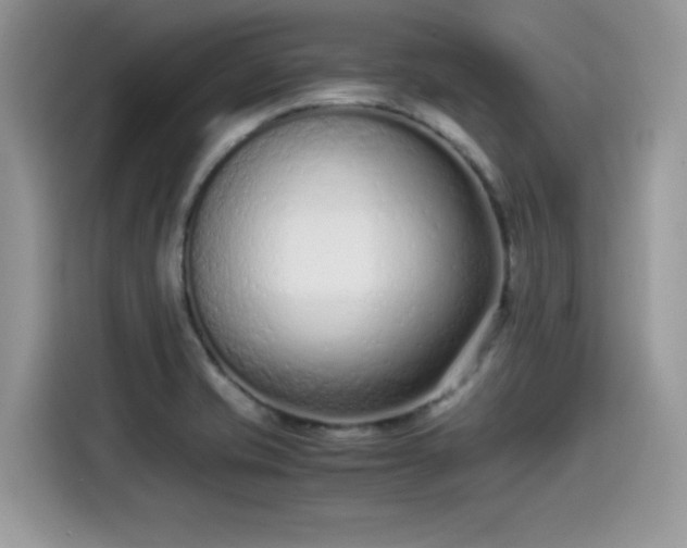 X0000115541421200911131535