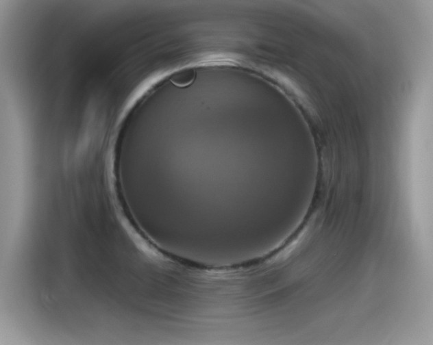 X0000115541422200911131535