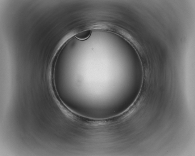 X0000115541426200911131535