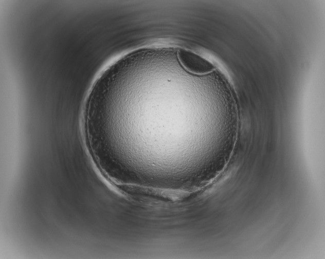 X0000115541429200911131535