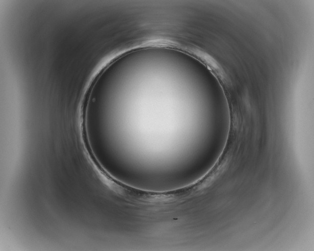 X0000115541430200911131535