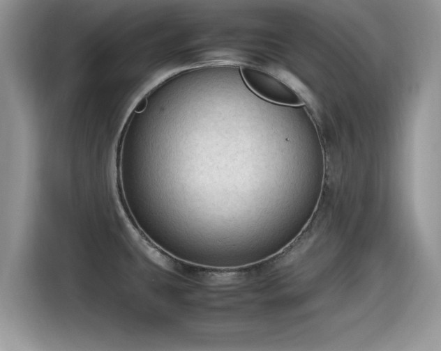 X0000115541431200911131535