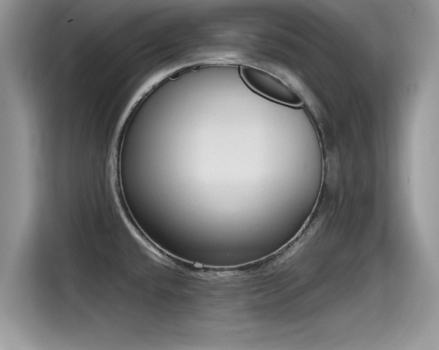 X0000115541432200911131535