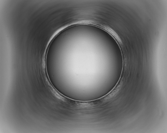 X0000115541436200911131535