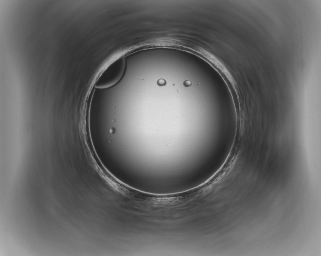 X0000115541437200911131535