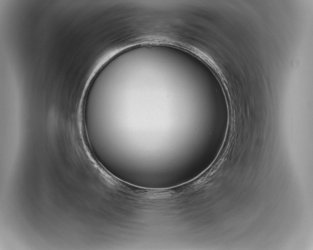 X0000115541440200911131535