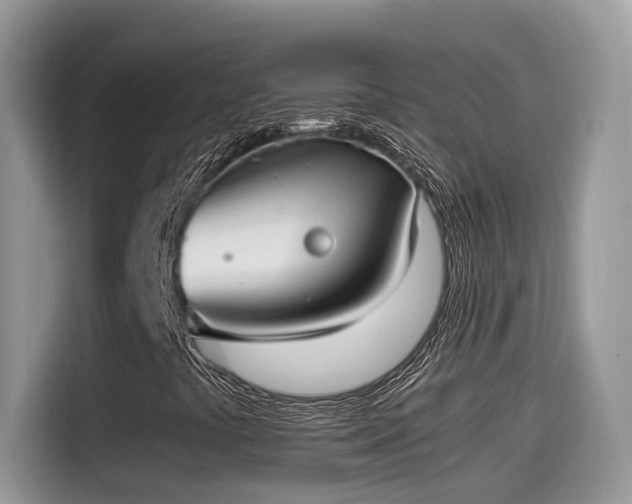 X0000115541441200911131535