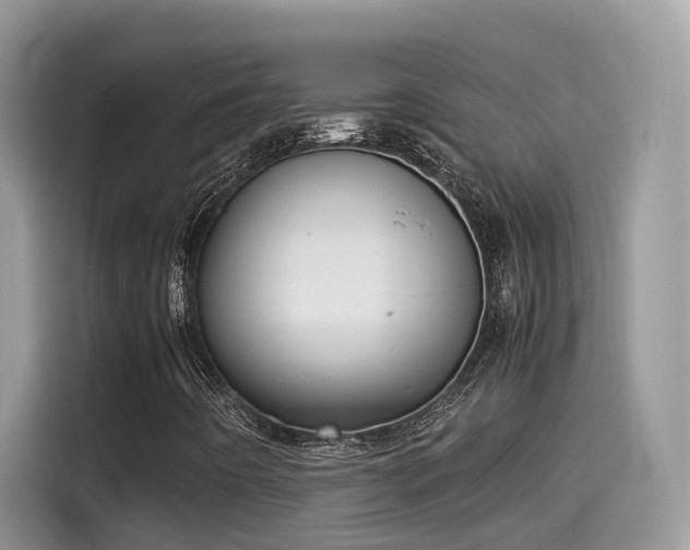 X0000115541442200911131535