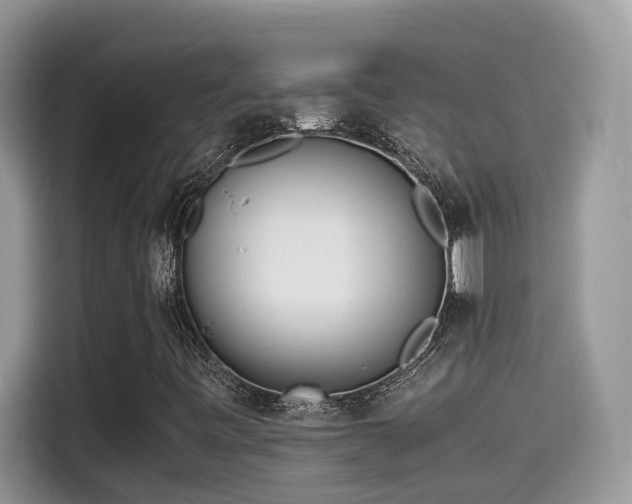 X0000115541443200911131535