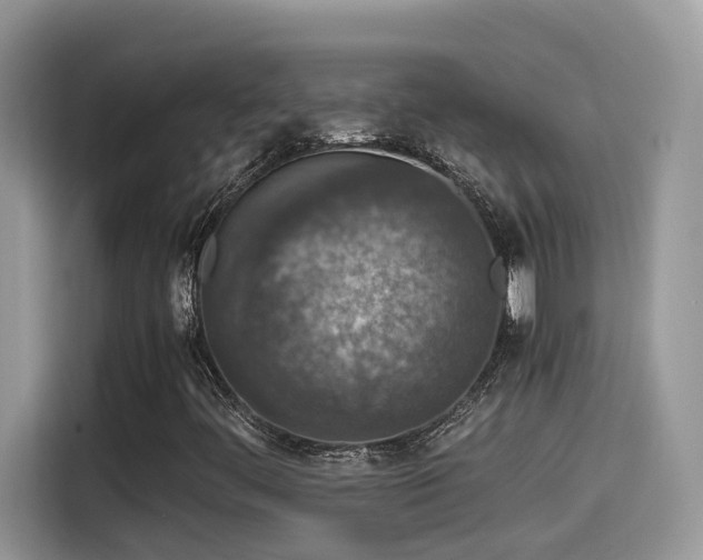 X0000115541444200911131535