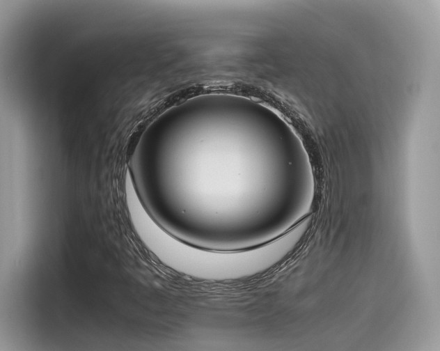 X0000115541445200911131534