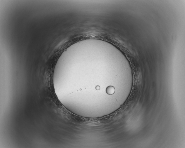 X0000115541446200911131534