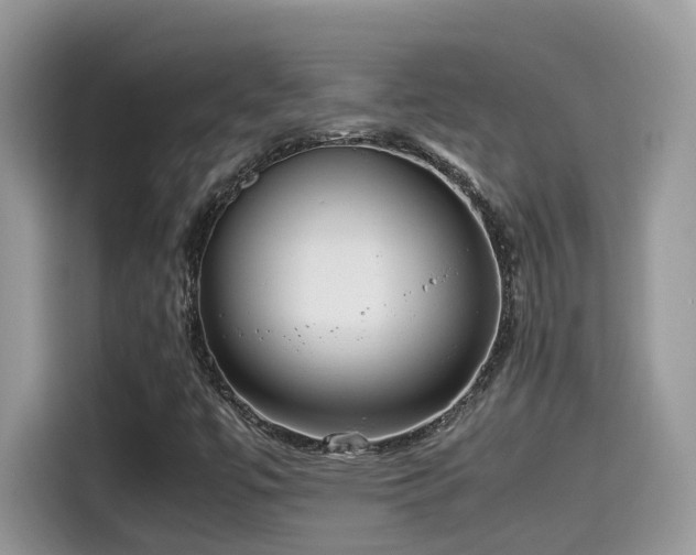 X0000115541447200911131534