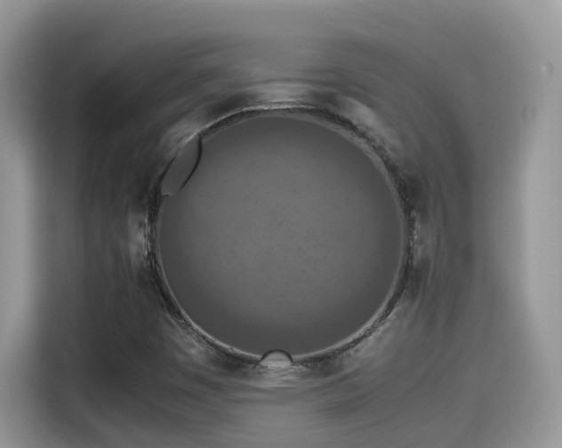 X0000115541449200911131534