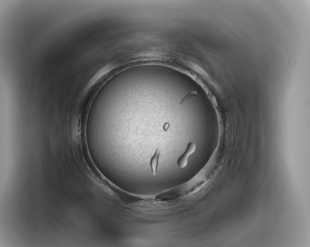 X0000115541450200911131534