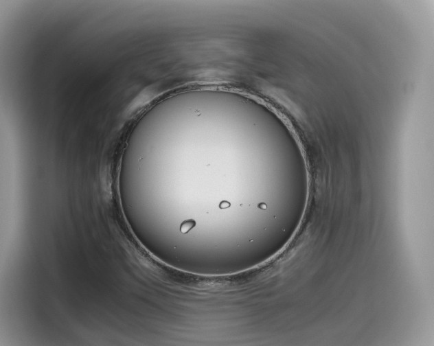 X0000115541451200911131534