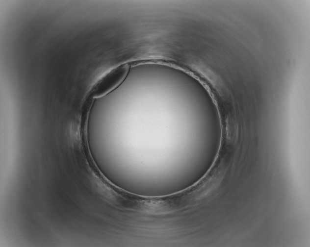 X0000115541452200911131534